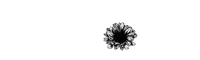 Official Sunflower